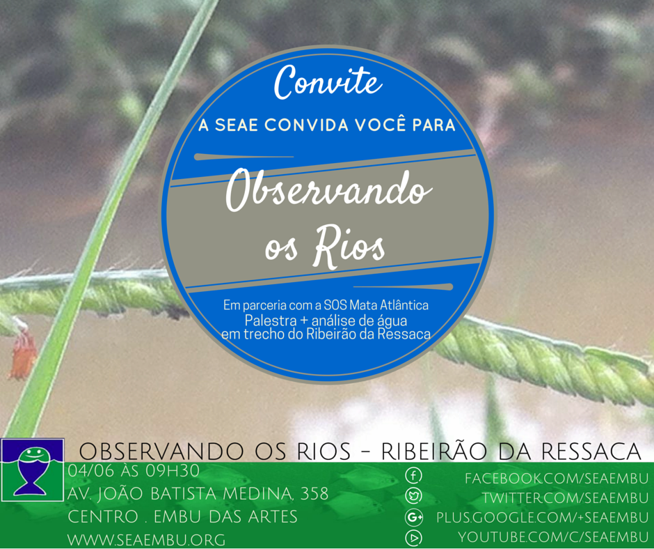 OBSERVANDO OS RIOS