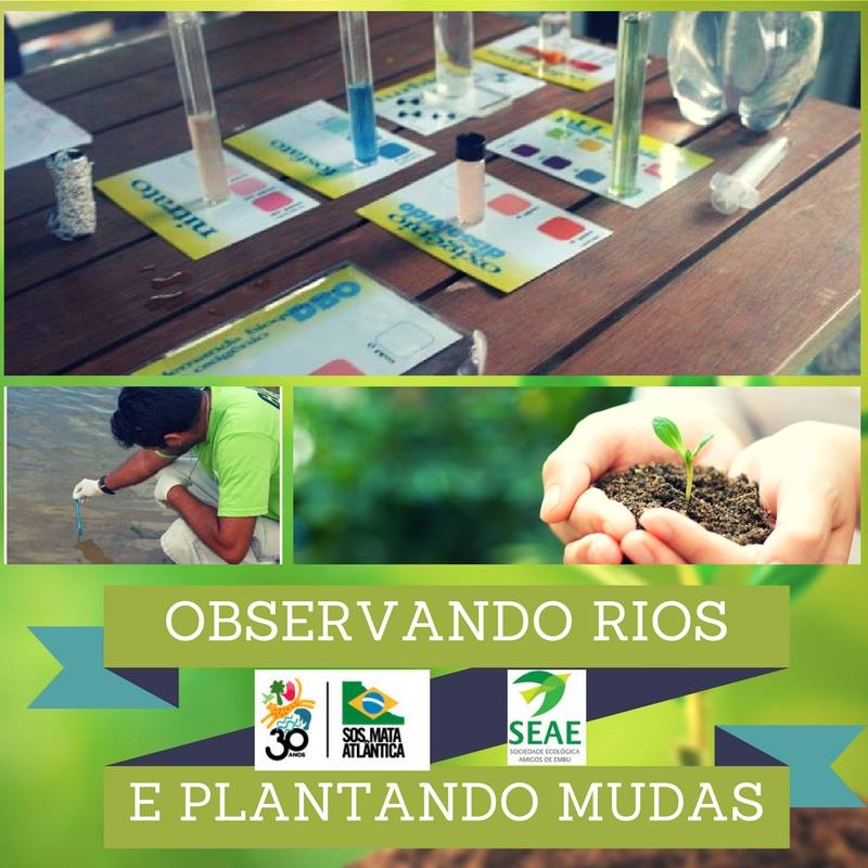 ANÁLISE DE ÁGUA + PLANTIO