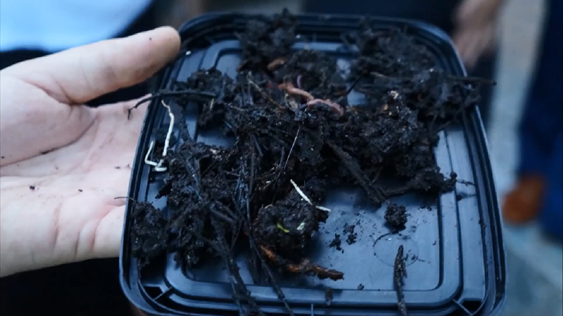 COMPOSTAGEM DOMÉSTICA