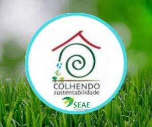 projeto-colhendo-sustentabilidade-300x251