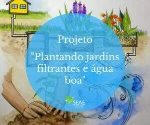 projeto-jardins-filtrantes-300x251