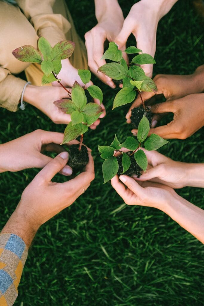 pexels-photo-5029853 Hands Holding Green Plants